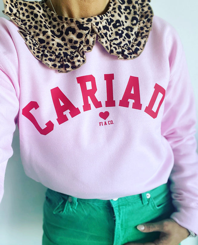 CARIAD baby pink sweater